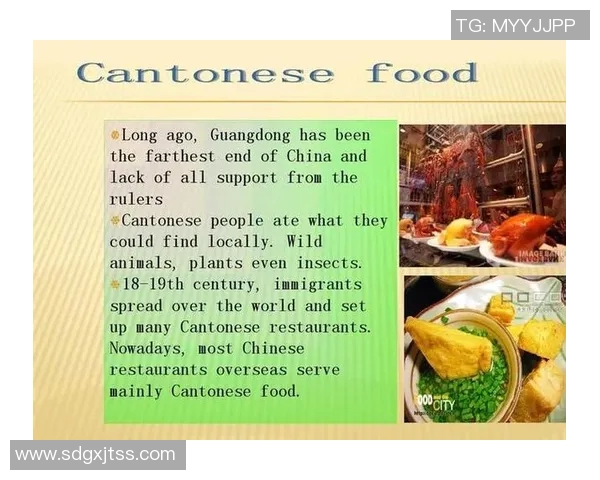 杨瀚森的日常生活：翻译工作与自制美食的简单乐趣