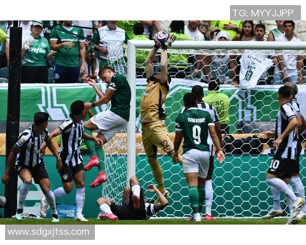 帕尔梅拉斯与弗拉门戈再度决战历史交锋各胜两场期待决赛精彩对决