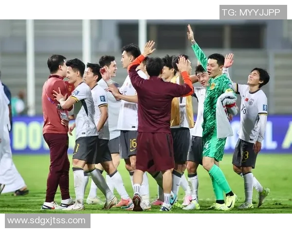 突尼斯世预赛表现惊人10场不失球豪取28分提前晋级世界杯