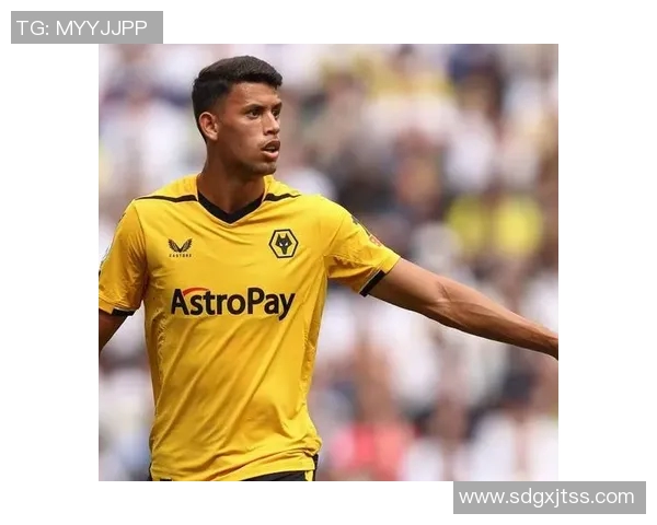 亨利赞德布劳内风格接近大劳德鲁普强调团队精神与助攻能力 亨利赞德布劳内风格接近大劳德鲁普强调团队精神与助攻能力