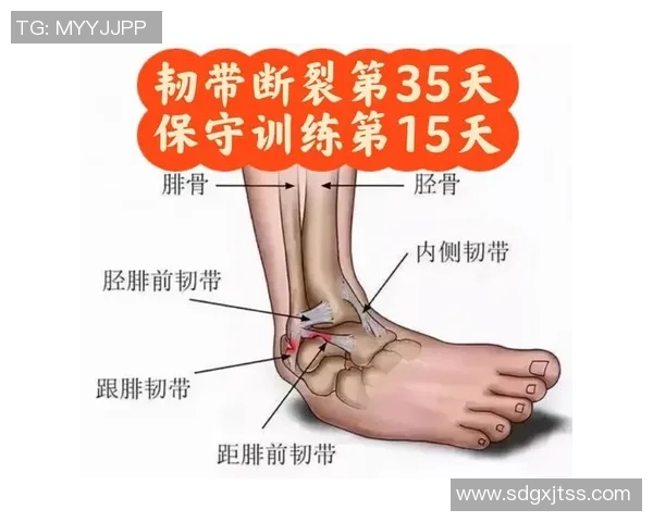 腿筋伤势持续困扰纳斯透露沃特福德尚未恢复5对5训练