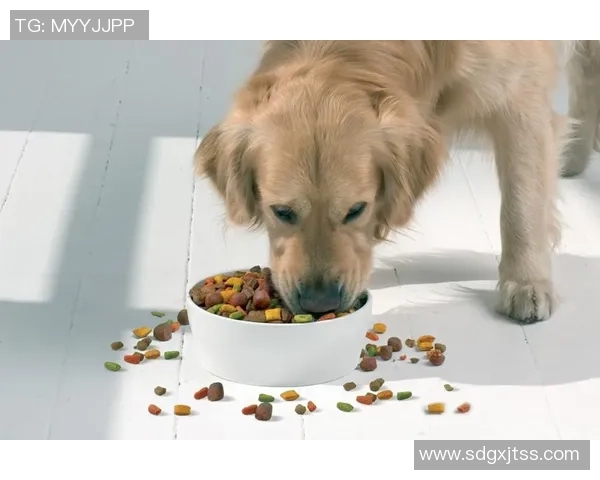 被麦卡甩后一个月他与我的朋友同居还带走了我的狗 被麦卡甩后一个月他与我的朋友同居还带走了我的狗