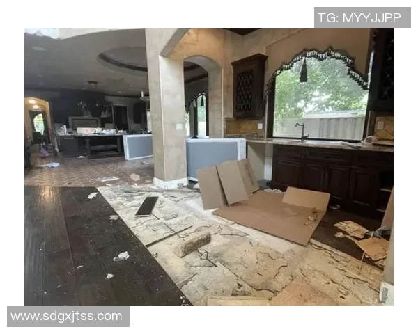 约内斯库洛杉矶住所遭窃多个手提包被盗损失超六万元 约内斯库洛杉矶住所遭窃多个手提包被盗损失超六万元